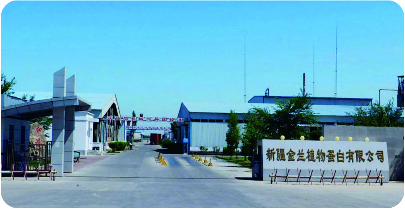 新疆金兰植物蛋白有限公司300吨/天棉籽脱酚蛋白项目