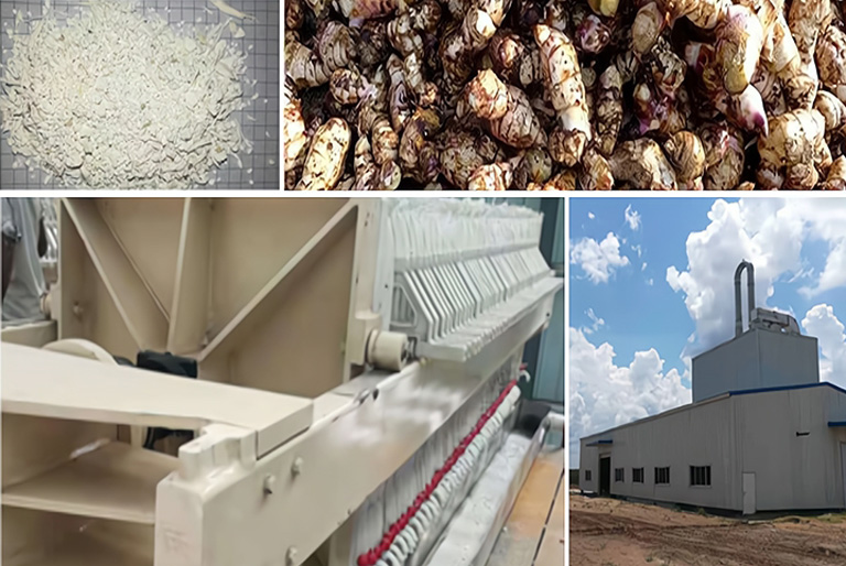 芭蕉芋淀粉成套加工设备