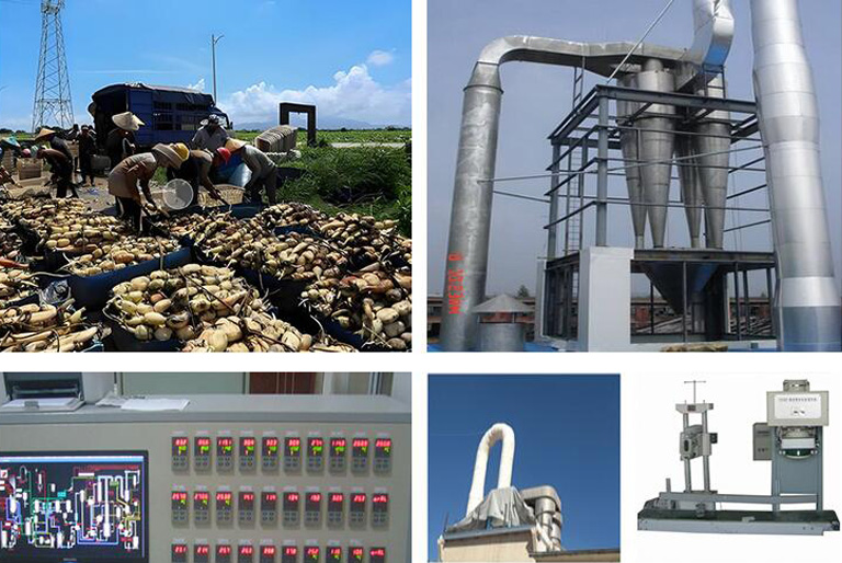 藕粉成套加工设备